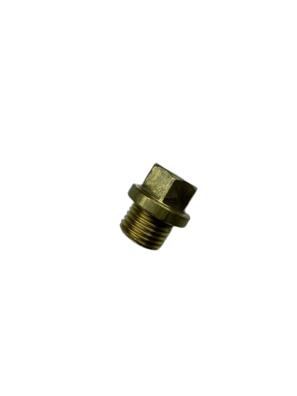 Seaiing plug R1/4"with collar